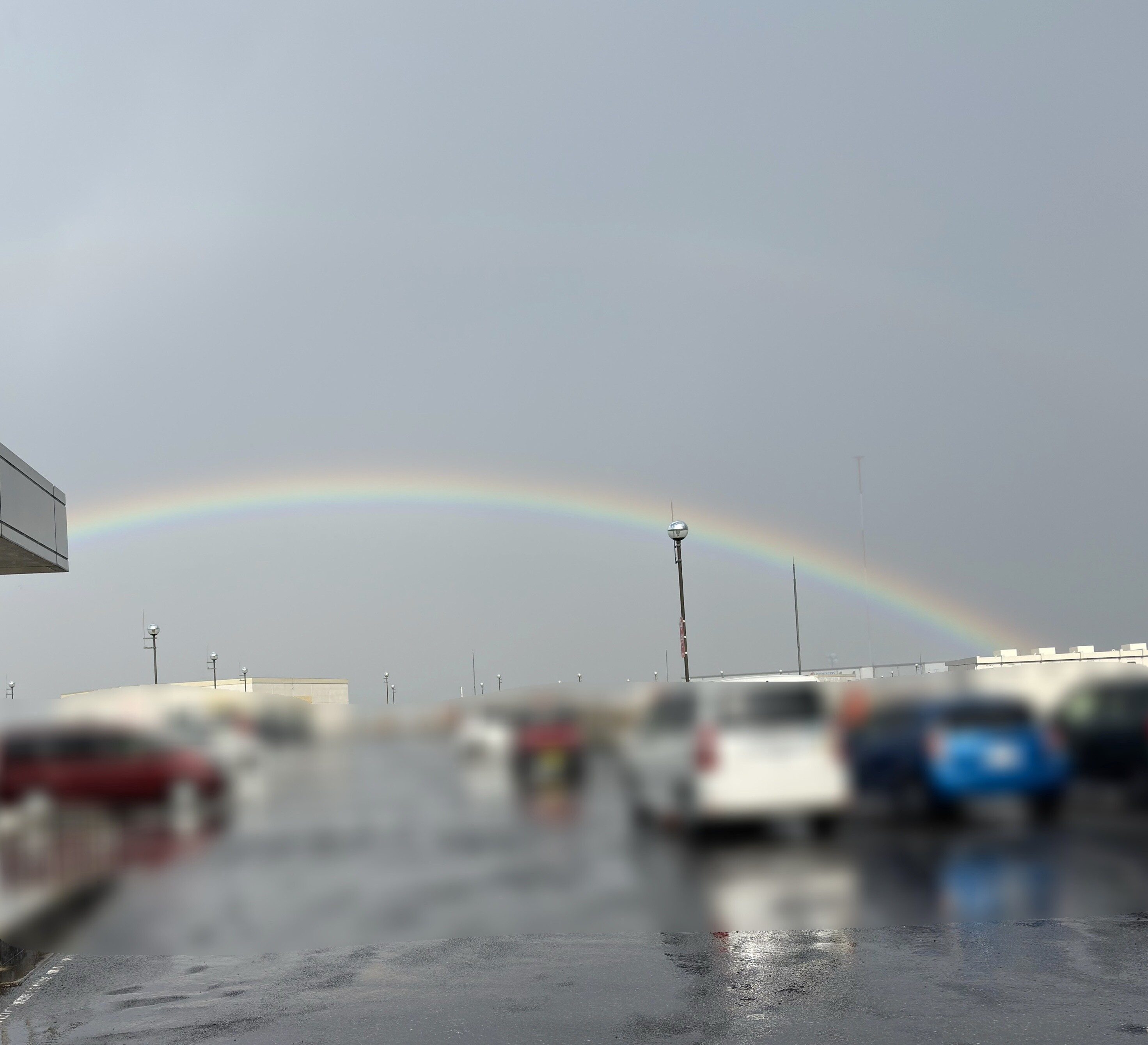 Rainbow